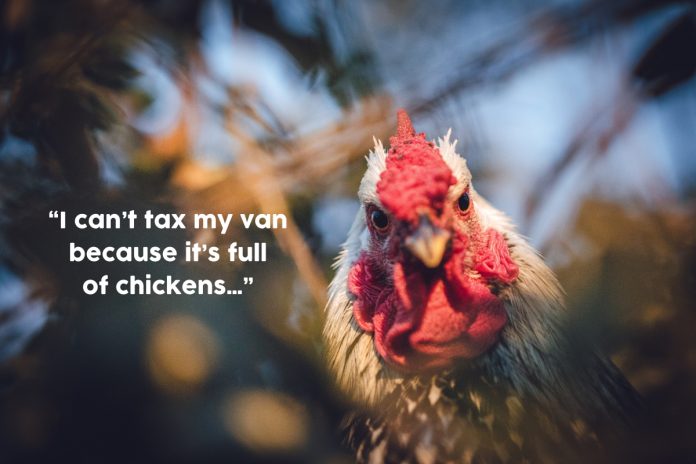 I can't tax my van because its full of chickens