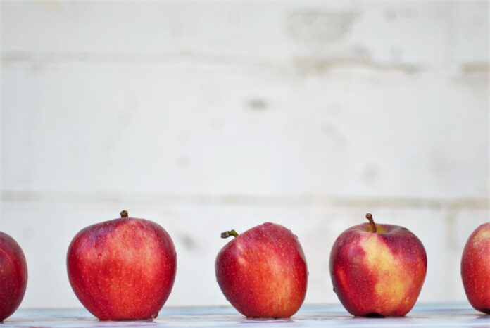 twinsfisch-uSPjZzYwXO4-unsplash