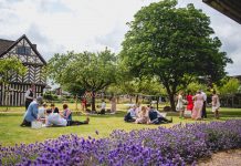 Birmingham Museums is to hold special events for families, food fans and culture lovers alike!