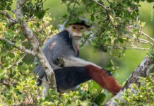 Book now to see Wildlife Photographer of the Year in Birmingham!